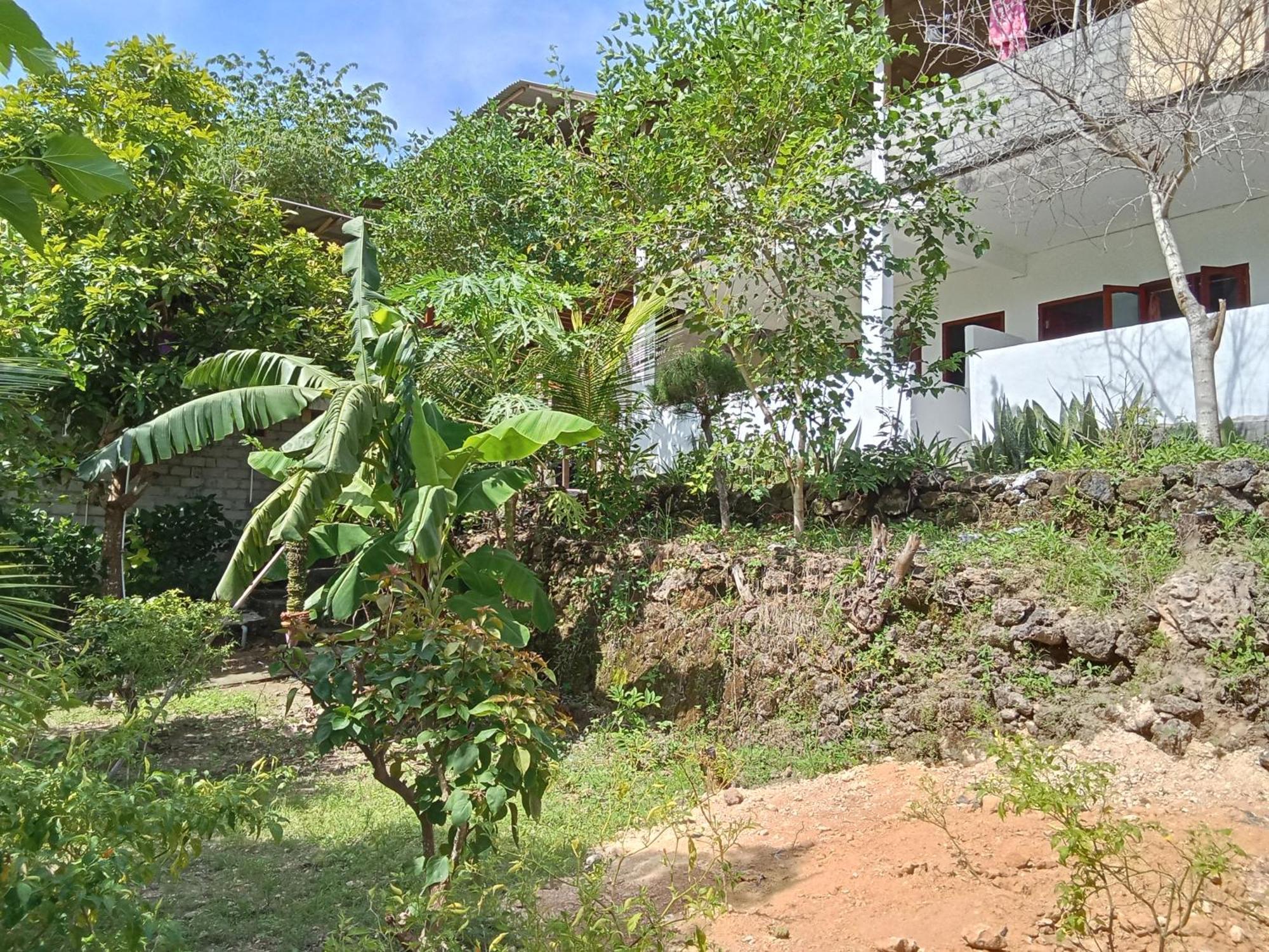 Feby'S Homestay Ekas 外观 照片